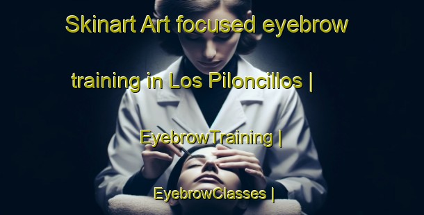 Skinart Art-focused eyebrow training in Los Piloncillos | EyebrowTraining | EyebrowClasses | SkinartTraining-Mexico
